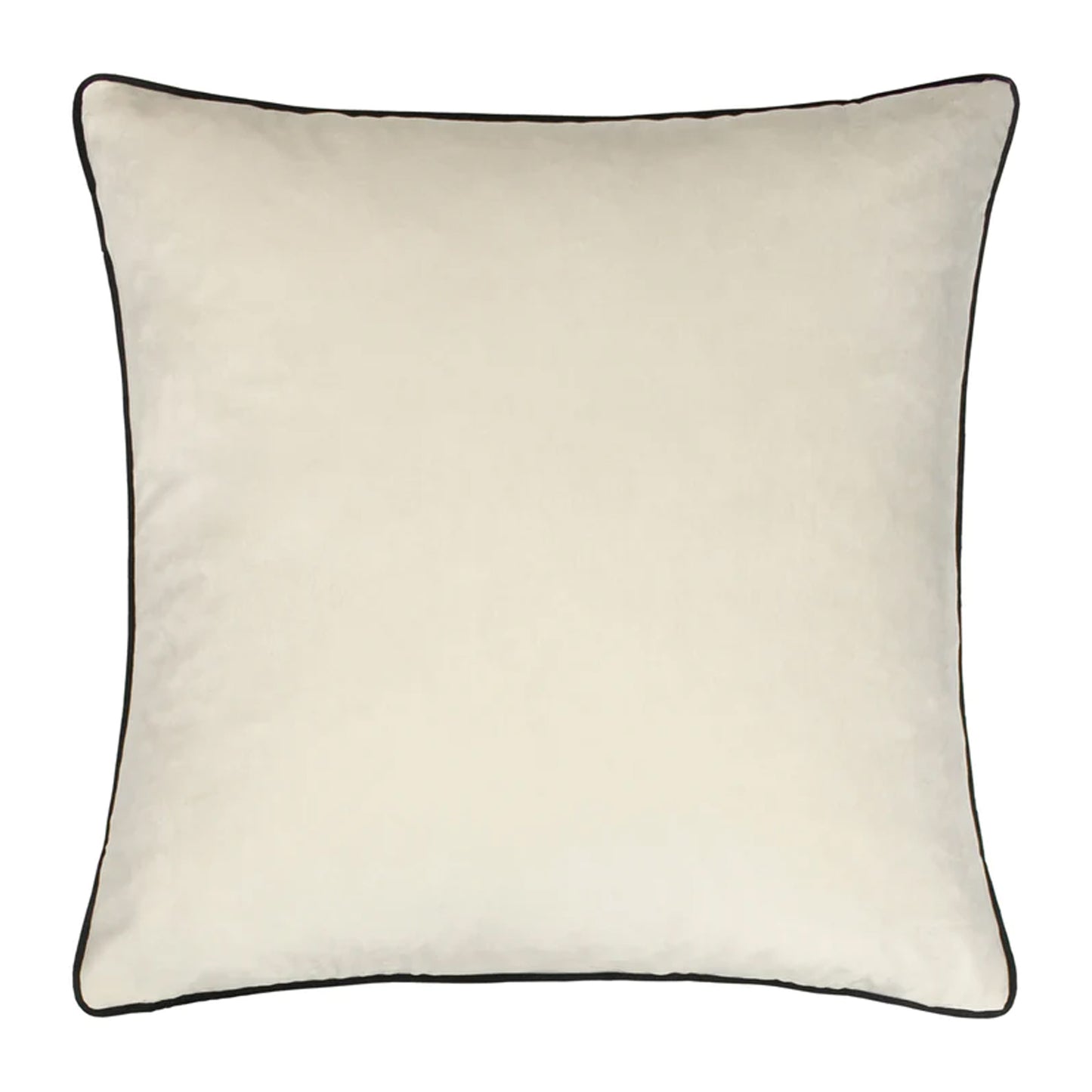 Ivory Velvet Cushion with Black Piping