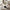 Maya Round Light Cream Ceramic Dining Set With 4 Mia Cream Chairs