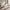 Marco White Round Wooden Dining Table with White Wood Base