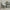 Adele Light Grey Boucle Dining Chair with Black Legs