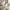 Marco White Round Wooden Dining Set With 4 Jasmine Chairs