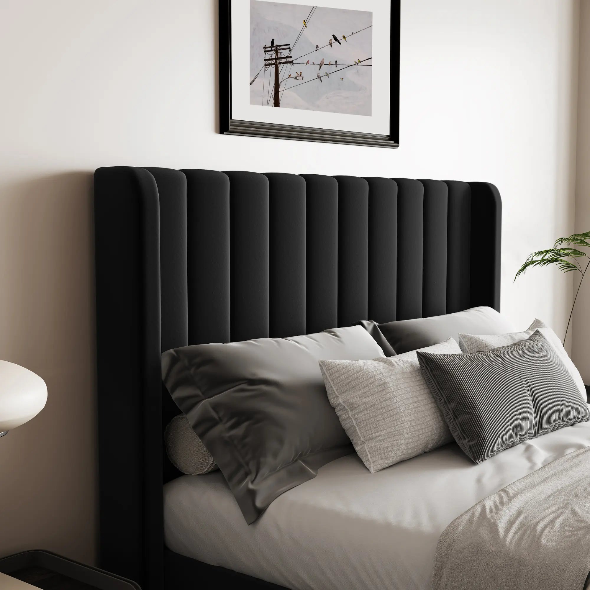 Maddison Black Velvet Ottoman Storage Bed