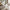 Marco White Round Wooden Dining Set With 4 Maria Chairs