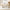 Apollo White Ceramic Dining Set With 6 Jasmine Cream Chairs