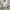 Sofia White Ceramic Dining Set With 6 Camilla Cream Chairs