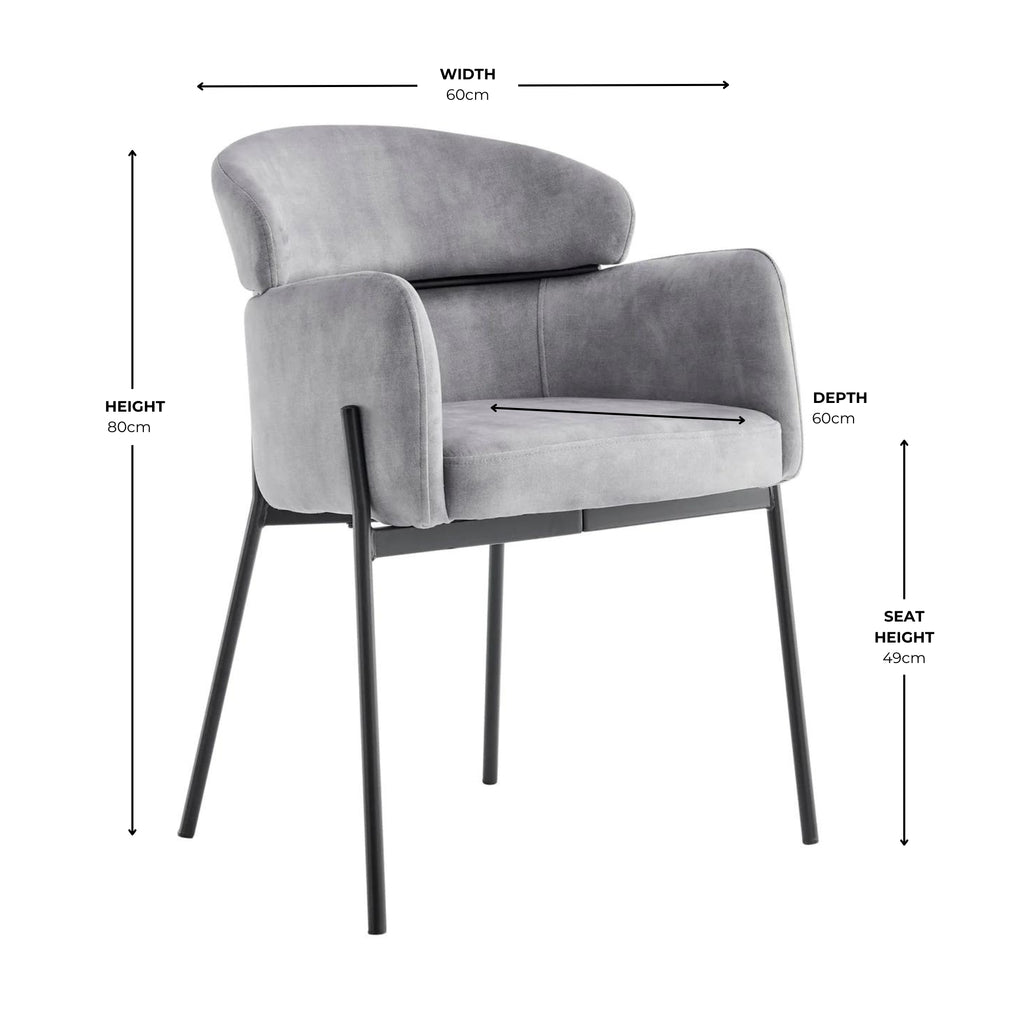 Liang Grey Velvet Dining Chair With Black Frame