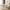 Sofia White Ceramic Dining Table with Cream Ribbed Base