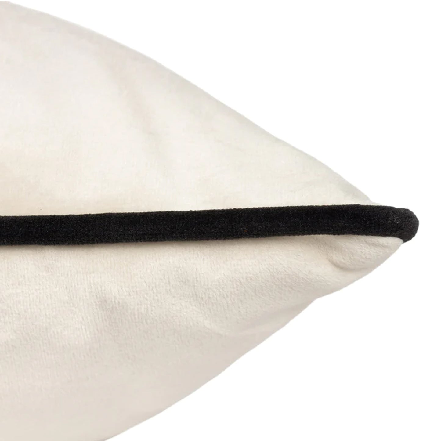 Ivory Velvet Cushion with Black Piping