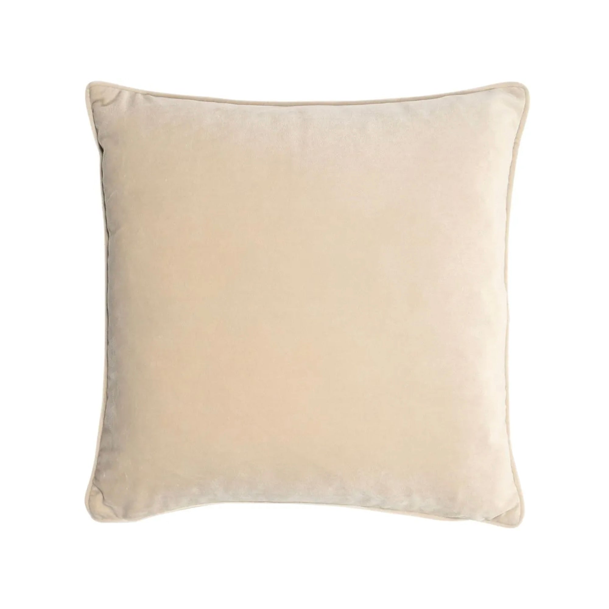 Champagne Velvet Cushion